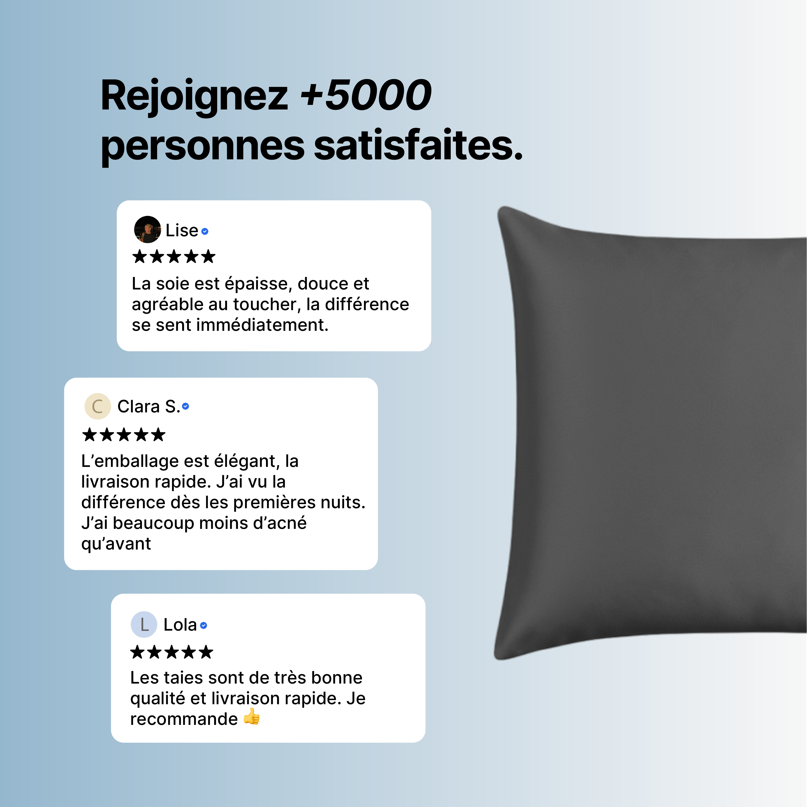 Taie d'oreiller 100% Pure Soie