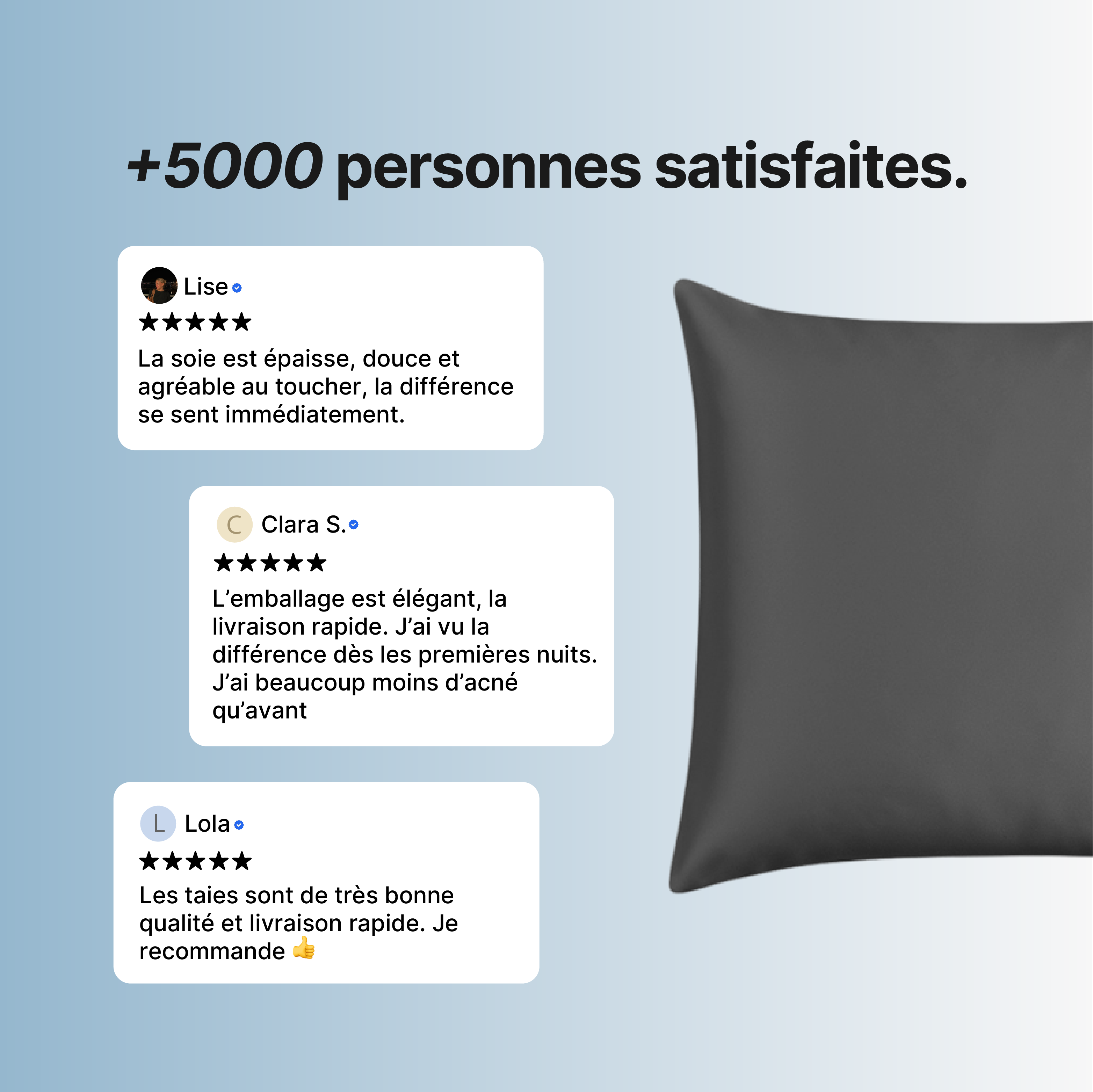 Taie d'oreiller 100% Pure Soie