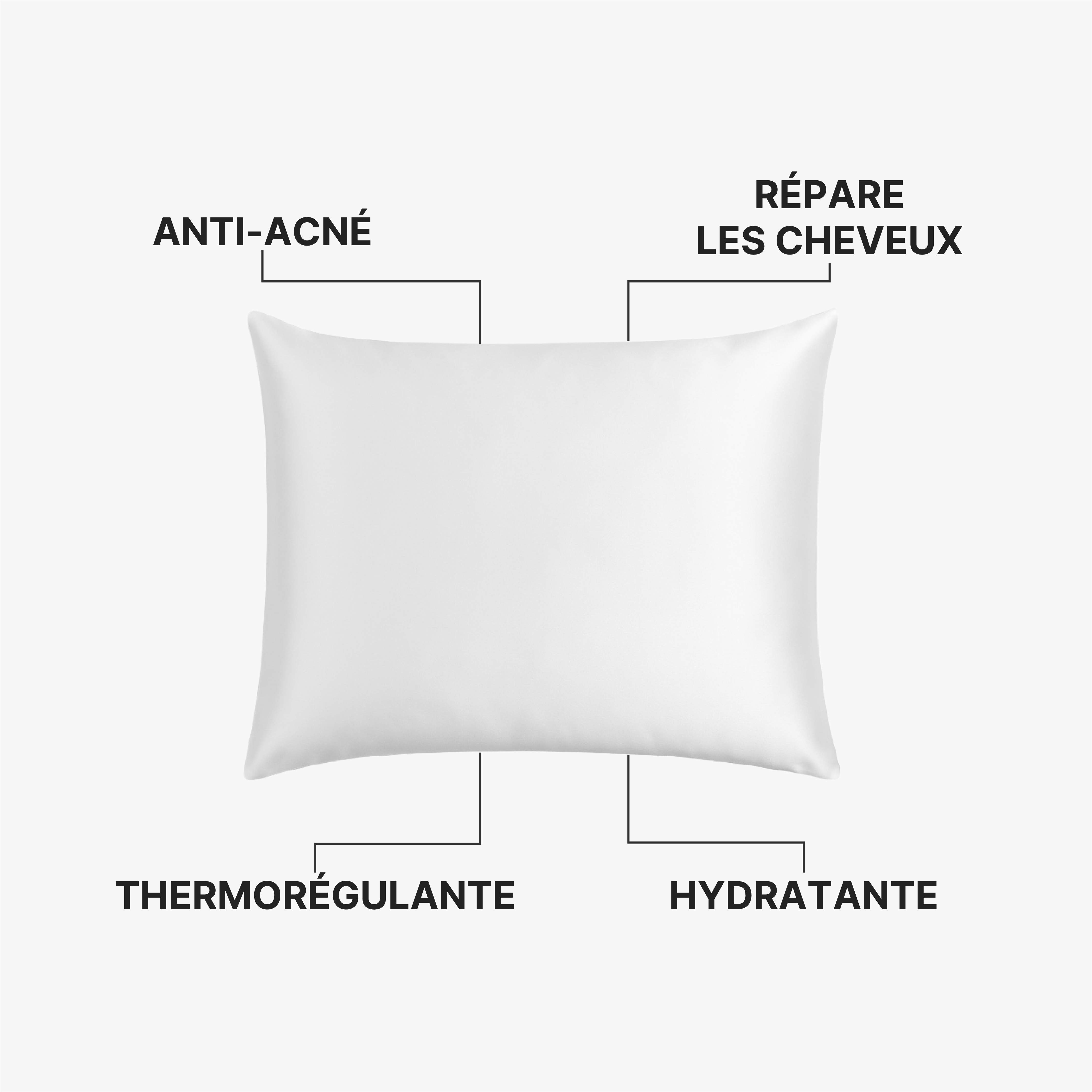 Taie d'oreiller 100% Pure Soie